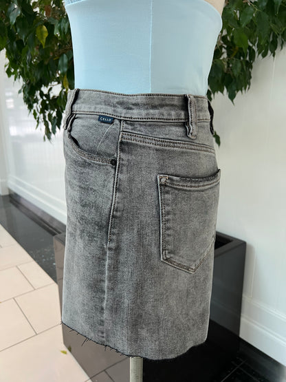 Denim Trend Skirt